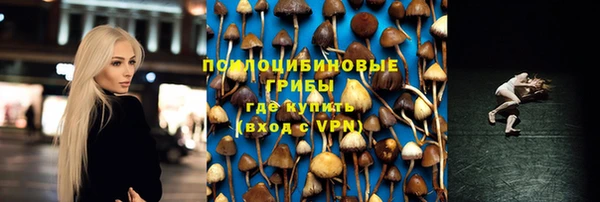 apvp Володарск