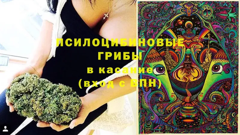 Псилоцибиновые грибы Cubensis  купить закладку  Алатырь 